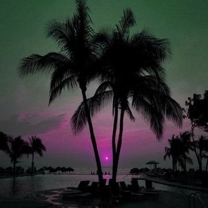 Meet your Posher, Donnee